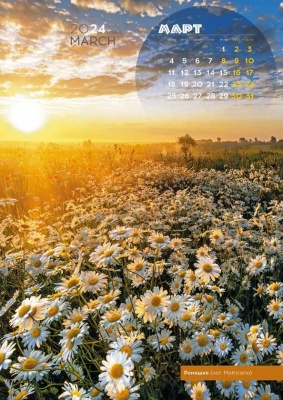 Календарь перекидной «Цветы России»
