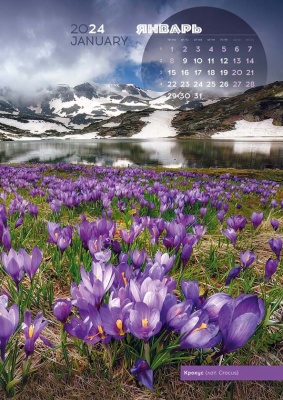 Календарь перекидной «Цветы России»